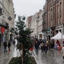 Grande braderie d'Automne 2022